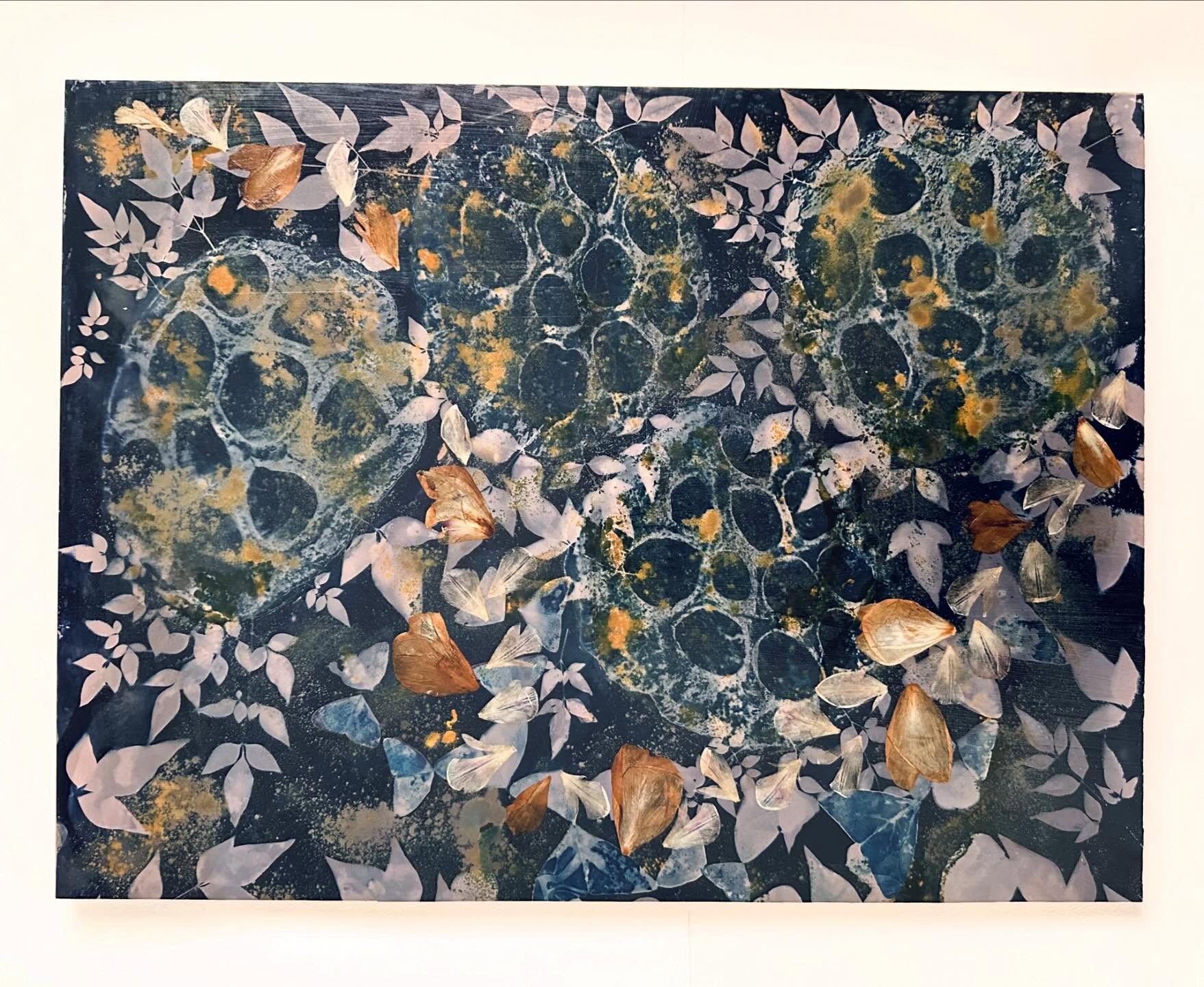Gold Leaf Cyanoscape